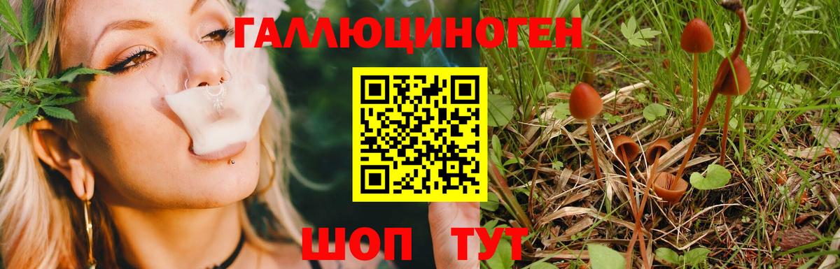 Ессентуки  Псилоцибиновые грибы мицелий  Вход с VPN 